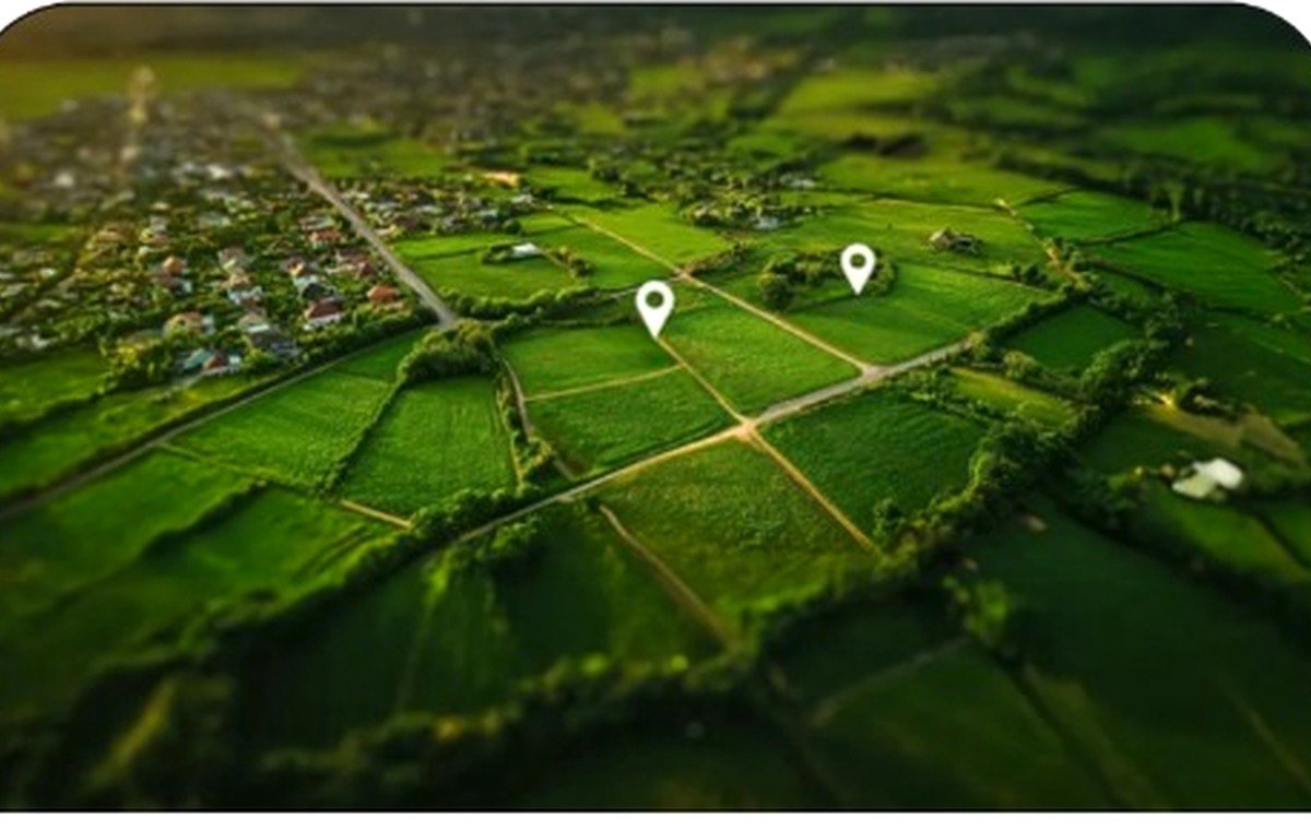Commercial Land