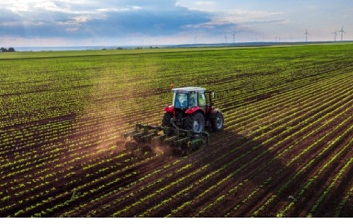 Agriculture Land